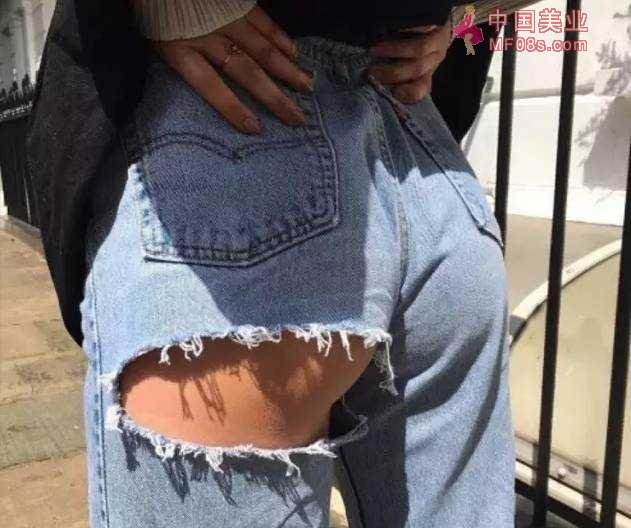 半岛·综合下载手机版