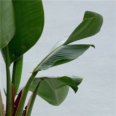 半岛综合体育·官方网站