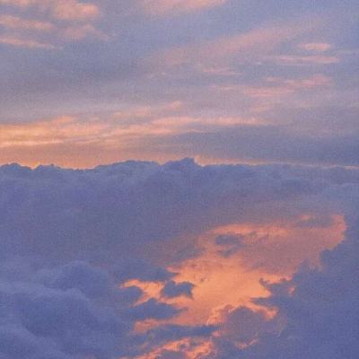 半岛·综合下载手机版