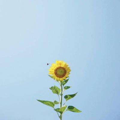 b体育官方体育app手机app下载