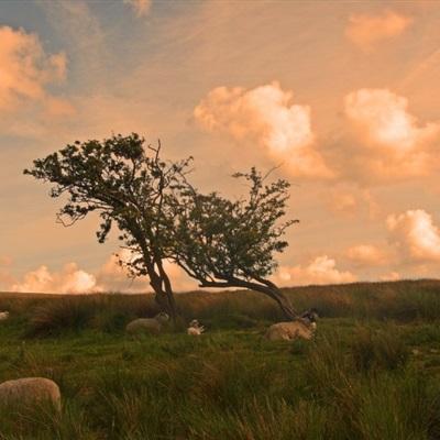 168极速赛车平台·官方网站