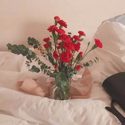 体育竞彩推荐平台app截图