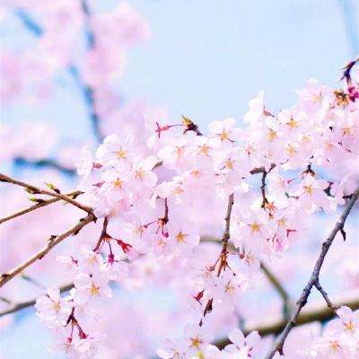 单机的打鱼游戏app下载