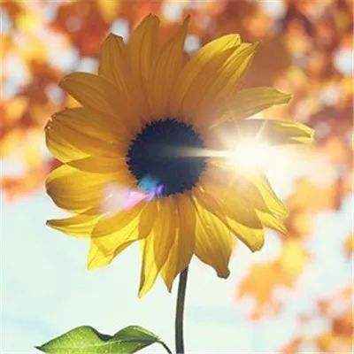 博喜体育官网下载