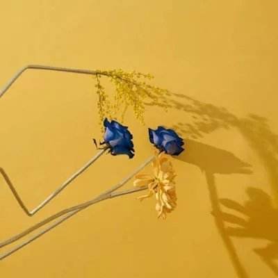 博鱼·中国体育官网